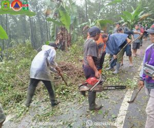 Sabtu, 28 Juni 2025. BPBD Kabupaten Trenggalek bersama unsur TNI, Polri, Perhutani, pemerintah desa, dan masyarakat melaksanakan giat penanganan pohon tumbang di Jalan Raya Suruh–Pule Desa Suruh Kecamatan Suruh.