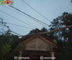 1 Oktober 2025. Terjadi pohon tumbang di rumah Ibu Suyatin RT 65 RW 14 Dsn. Premban Ds. Dongko Kec Dongko.