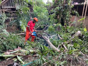 Minggu, 26 Oktober 2025. BPBD Trenggalek melaksanakan penanganan pohon tumbang di RT. 07 RW. 03 Dsn. Krajan Desa kertosono