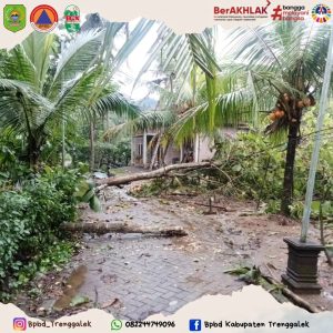 Rabu, 3 Desember 2025. LAPORAN KEJADIAN POHON TUMBANG AKIBAT ANGIN KENCANG DESA JATI KEC KARANGAN