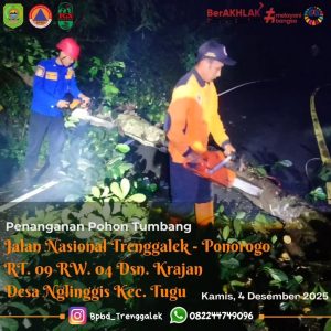 Kamis, 4 Desember 2025. Terjadi Pohon Tumbang di Dsn. Krajan Desa Nglinggis Kec. Tugu