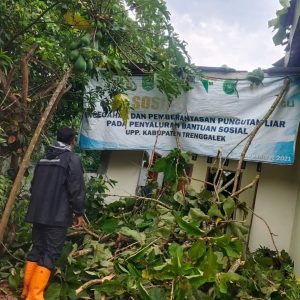 Sabtu, 20 Desember 2025. BPBD Kab. Trenggalek Melakukan penanganan pohon tumbang di DESA TUMPUK KEC. TUGU