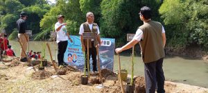 Kamis, 18 Desember 2025. Penanaman Rumput Vetiver di Tanggul Sungai Ngasinan
