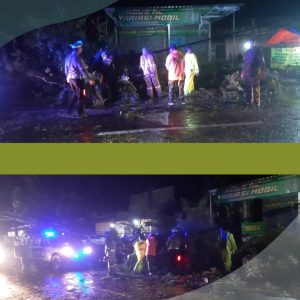 Kamis, 01 Januari 2026. BPBD KAb. Trenggalek melakukan penanganan pohon tumbang di wilayah Kec. Durenan