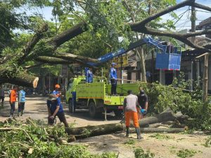 Jum’at, 2 Januari 2026. BPBD Kabupaten Trenggalek melakukan penanganan pohon tumbang di Desa Wonocoyo, Gayam dan Terbis Kec. Panggul Kab. Trenggalek