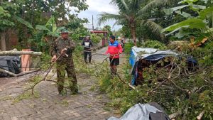 Rabu, 14 Januari 2026. Penanganan pohon tumbang di Wilayah Desa Kamulan Kec. Durenan