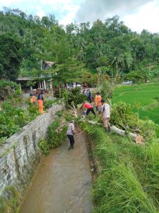 Selasa, 20 Januari 2026. Penebangan pohon bersama PUPR Bina Marga dan SDA di Ds. Barang dan Ds. Bodag Kec. Panggul