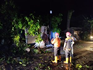 Sabtu, 17 Januari 2026. Penanganan pohon tumbang di Ds. Sumberdadi Kec. Trenggalek