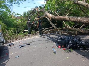 Sabtu, 24 Januari 2026. Penanganan pohon tumbang di Kec Durenan menimpa pengendara sepeda motor, mengenai truk dan memutuskan kabel listrik.