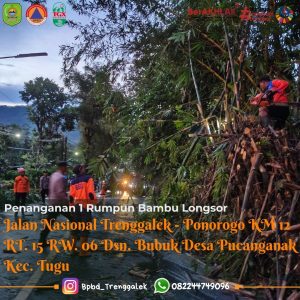 Sabtu, 17 Januari 2026. BPBD Kabupaten Trenggalek melakukan penanganan pohon tumbang yang menutup sebagian badan Jalan Nasional Trenggalek – Ponorogo KM 12 RT. 15 RW. 06 Dsn. Bubuk Desa Pucanganak Kec. Tugu kab. Trenggalek
