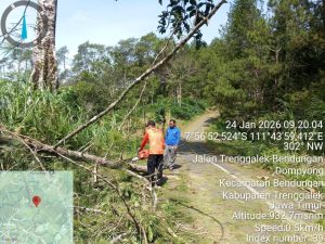 Sabtu, 24 Januari 2026. BPBD Kab. Trenggalek melakukan penanganan pohon tumbang di Wilayah Kec. Bendungan