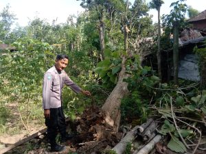 Sabtu, 24 Januari 2026 terjadi angin kencang di Kec. Karangan, akibat angin kencang tersebut di Rt.15, 16 Rw 06 Ds. Kec. Salamrejo Kec. Karangan 2 atap rumah warga rusak