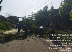 Sabtu, 24 Januari 2026. Penanganan pohon tumbang di Dsn. Banaran RT. 17 RW. 08 Desa Krandegan Kec. Gandusari 