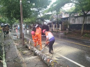 Kamis, 15 Januari 2026. BPBD Kab. Trenggalek melakukan penanganan pohon tumbang di depan hotel Jaas