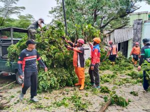 Kamis, 12 Februari 2026 pukul 16.00 WIB telah terjadi kejadian pohon tumbang yang menimpa area Rumah Pengolahan Susu