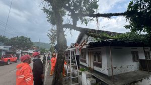 Rabu, 18 Februari 2026. BPBD Kab. Trenggalek melakukan penanganan pohon tumbang di timur Puskemas Rejowinangun – Trenggalek
