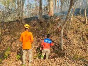 Penanganan Karhutla di Gunung Jaas Trenggalek
